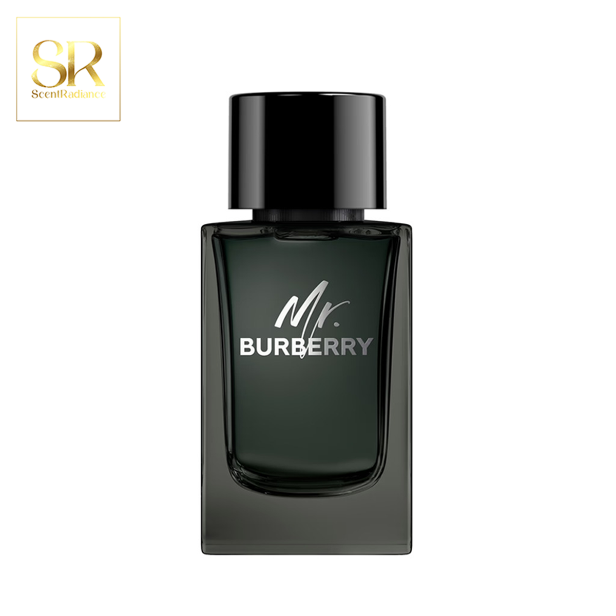 Burberry Mr. Burberry EDP 100ml